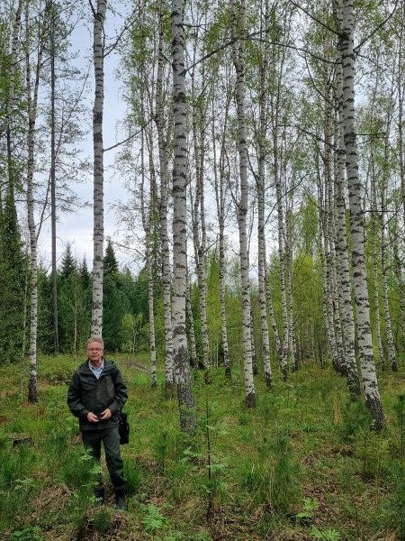Vihreäasuinen mies seisoo koivikossa, jonka puiden alaoksat on karsittu monen metrin korkeuteen.