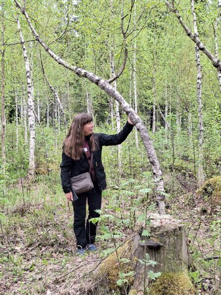 Pitkähiuksinen nainen pitää kiinni kaarelle taipuneesta nuoresta koivusta.