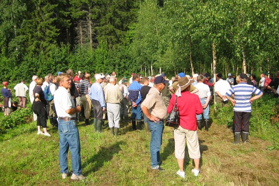 Suuri joukko ihmisiä seisoo selin kameraan ja katsoo nuorta koivumetsää. 