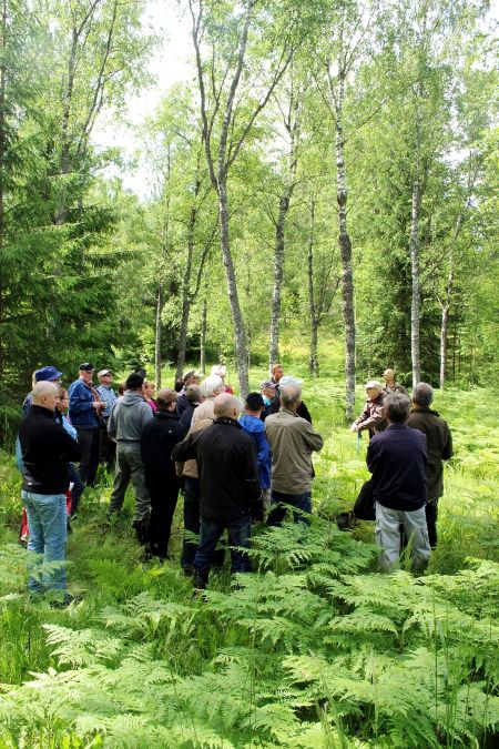 Suurelta osin miehistä koostuva ryhmä seisoo koivikossa, jonka pohjalla on korkeita sananjalkoja.  