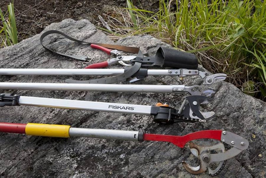 Kulmikkaan, laakean kiven päällä on neljä erilaista, pitkävartista oksasahaa ja yhdet pienet oksasakset