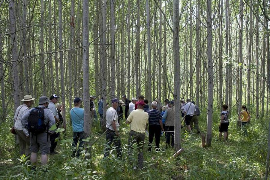 Korkeassa harmaassa haavikossa on miesryhmä selin kameraan. Puissa ei näy juurikaan lehtiä.