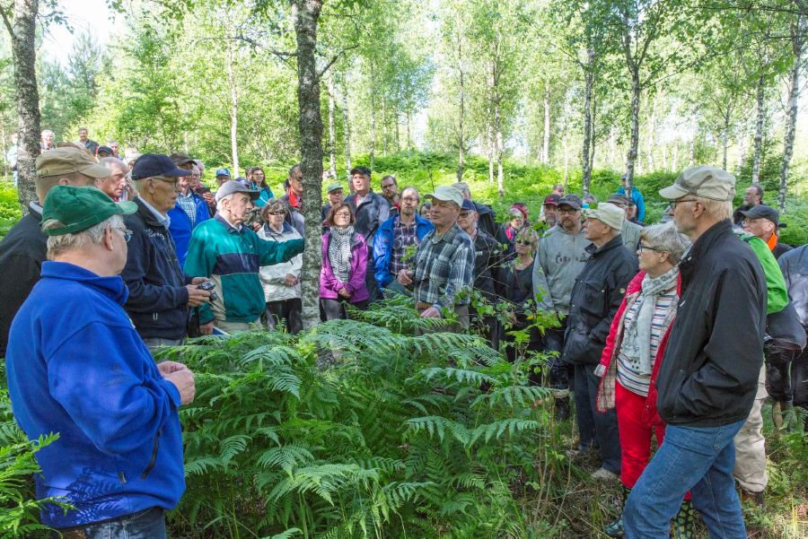 Lippalakkipäinen mies pitää kiinni harmaasävyisestä koivunrungosta. Toinen mies hänen vieressään puhuu ja heidän ympärillään on joukko ihmisiä kuuntelemassa.  