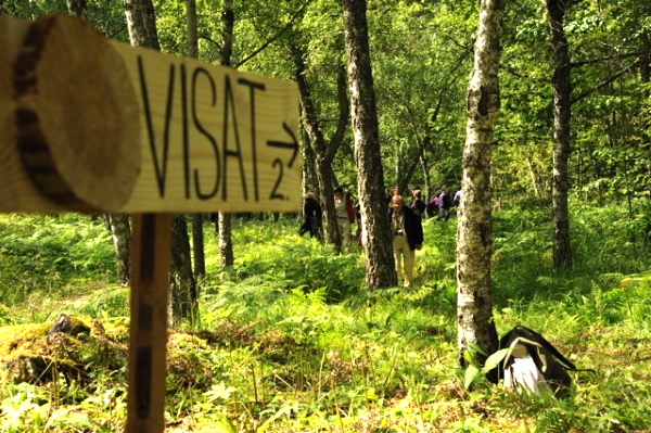 Etualalla on lautainen viitta, jossa lukee VISAT 2. Sen nuolen osoittamassa suunnassa kasvaa suuria, harmaan kaarnan peittämiä muhkuraisia visakoivuja saniaisten peittämässä maaperässä. Ihmisiä seisoo koivikossa. 