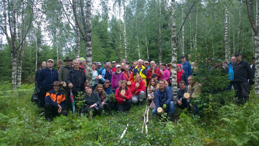 Kirjava-asuinen joukko osin seisoo, osin on kyykyssä harvahkossa muhkurarunkoisessakoivikossa. Kahdella on käsissään koivunrunko siten, että rungon poikkileikkaus näkyy. 